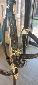 Halfter von Aro Equi Aro Equi
