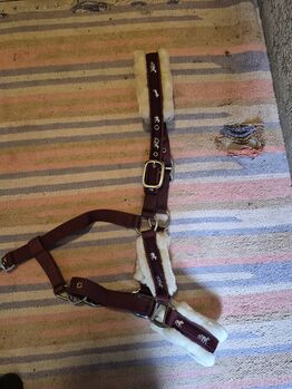 Halfter in  Bordorot , Größe: Pony