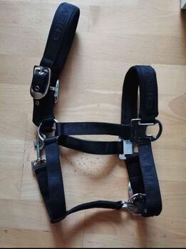 Halfter von Cheval de Lux Pony, Cheval de Lux , Daniela Cardoso, Halfter, Neubiberg