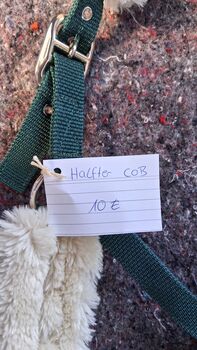 Halfter in COB