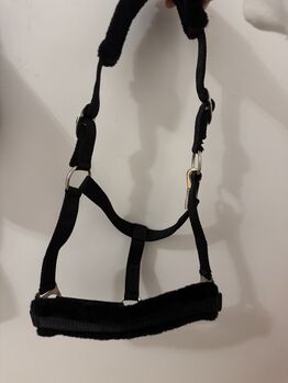 Halfter Cob, Shannon Pierini , Nosebands, Horgen 
