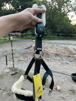 Halfter Felix Bühler neu Felix Bühler Halfter