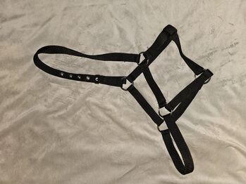 Halfter Fohlen, schwarz, neu