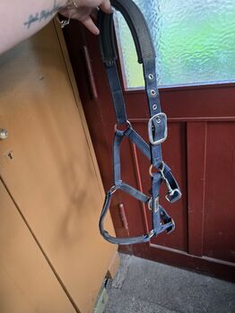 Halfter Gr. Vollblut COB
