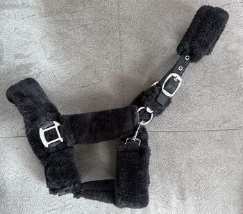 Teddy-Fleece Halfter, Melanie Kolz, Halters, Schuby