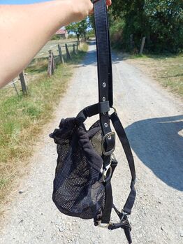 Halfter mit int. Fliegenmaske WB
