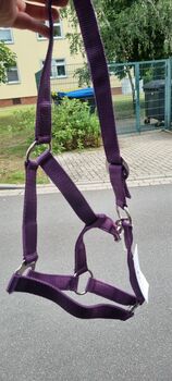 Halfter lila, Krämer , Samantha, Halfter, Schwedt