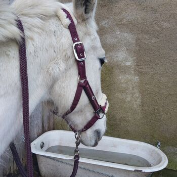 Halfter mit strick set felix bühler  VB Cob neu Felix bühler 