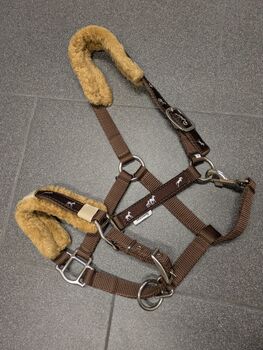 Halfter Mustang full braun, Mustang , Laura , Halfter, Essen