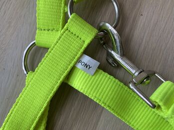 Halfter in Neon-Gelb, Gr. PONY, No-Name Marke NEU