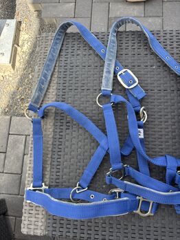 Halfter Paket Größe Wb, Denise, Halfter, Kyllburg
