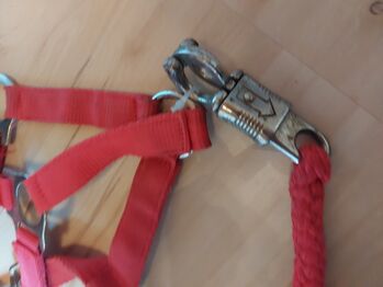 Halfter Pony Rot Set gebraucht