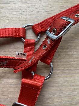 Halfter in Rot, Gr. FOAL, No-Name Marke NEU