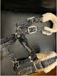 Halfter, Showmaster, Neu Showmaster