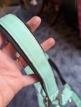 Halfter + Strick, Farbe Mint, Gr. vermutlich VB Showmaster 