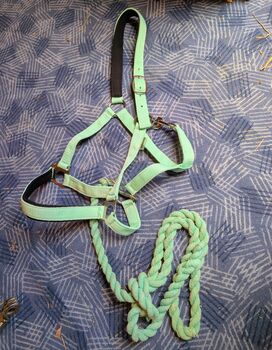 Halfter + Strick, Farbe Mint, Gr. vermutlich VB, Showmaster , Marina, Halfter, Weißenohe