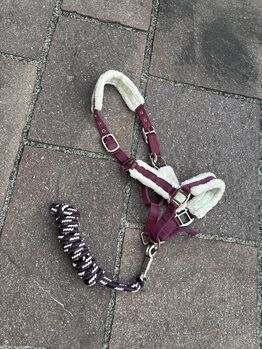 Halfter + Strick, Felix Bühler, Rosa, Halters
