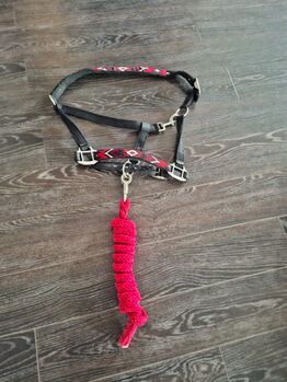 Halfter mit Strick und Panikhaken, Robert, Halfter, Kolbermoor