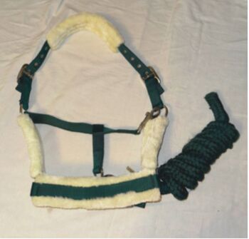 Halfter mit Strick, Showmaster, Neu Showmaster