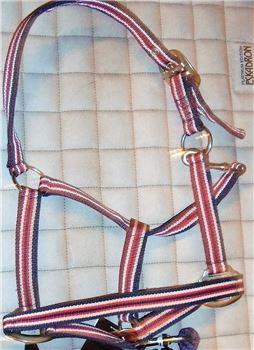 Halfter dunkelblau bunt - Cob/Vollblut sehr guter Zustand, >Nordic Horse<, Halters