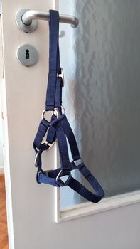 Fohlenhalfter, Marina Grochowski , Halters, Düsseldorf