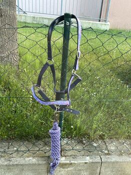 Halfter(+/Strick) lila, Ramona, Halters, Gunzenhausen
