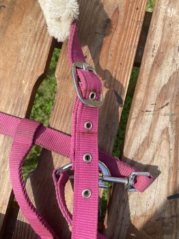 Halfterkappzaum Gr. Full