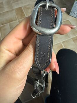 Weiches Lederhalfter mit Genickschoner Gr. COB CLARIDGE HOUSE