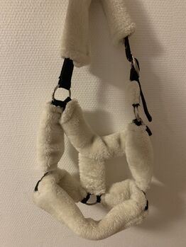 Halfter in der Größe Pony