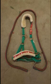 Halfter mit Weihnachten, Sarah , Halters, Norderstedt