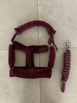 Halfter mit Strick Set, Showmaster (Krämer)  Fellhalfter mit passendem Strick , Christopher Kaufmann, Halters, Johannesberg