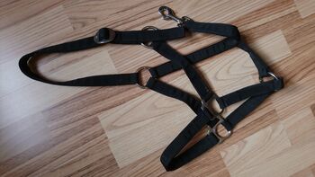 Halfter, Nylon, einfach in schwarz, Halfter, Nylon, Lina, Halters, Bendorf