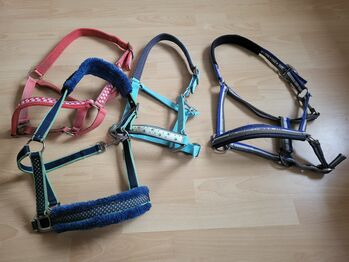 Halfter günstig zu verkaufen gr pony und cob, Melanie , Halters, Hollenstedt 