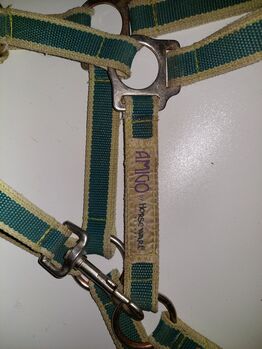 Halfter zu verkaufen Horseware Amigo Fouganza, Fouganza und Horseware Amigo , Jacqueline Schmidt-Kunert , Halters, Borken