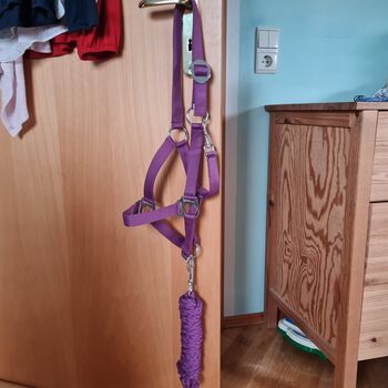 Halfter & Strick Pony lila, Annika Wagner , Halters, Mayen