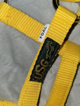 Halfter USG Fohlen neu USG
