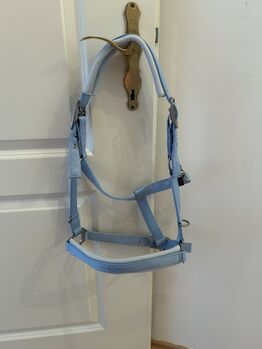 Halfter von Covalliero, Covalliero, Katrin, Halters, Wien, Meidling