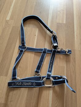 Halfter von Felix Bühler, Susi, Nosebands, Kaarst