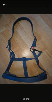 Halfter WB/Full neu, Anna, Halters, Recklinghausen 