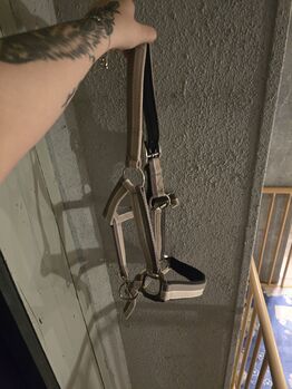 Halfter von Felix Bühler Gr. COB, Ratsch, Halters, Wilkau-Haßlau