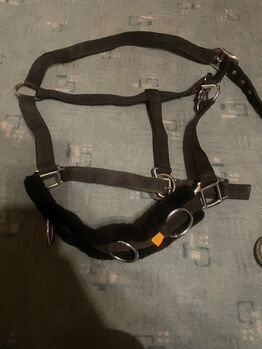 Halfter Kappzaum HKM