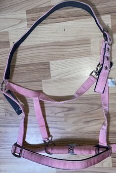 Halfter -Charming- weich unterlegt rosa Kaltblut, HKM, Leandra Menke , Halters, Gelsenkirchen 