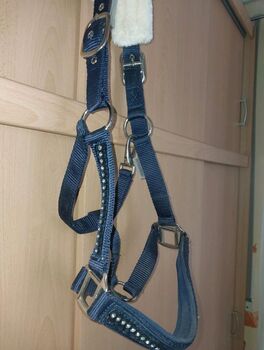 Halfter cob blau mit glitzer und teddyfleece