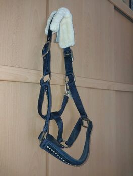 Halfter cob blau mit glitzer und teddyfleece, Powerhorse, Nosebands, Ziemetshausen