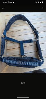 Halfter Dunkelblau, Beatrice , Halters, Basel 