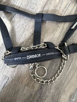 Hengsthalfter Eskadron, Eskadron , Noelle, Kantary, Neuss