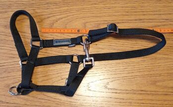 Fohlenhalfter, 2x Leder + 2x Nylon