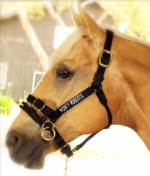 Halfter "Dually Training Halter" von Monty, Gr. WB, Monty Roberts Dually Trainings Halter, Robert, Halters, Kolbermoor