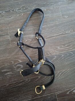 Halfter "Dually Training Halter" von Monty, Gr. WB Monty Roberts Dually Trainings Halter
