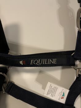 equiline halfter Equiline 